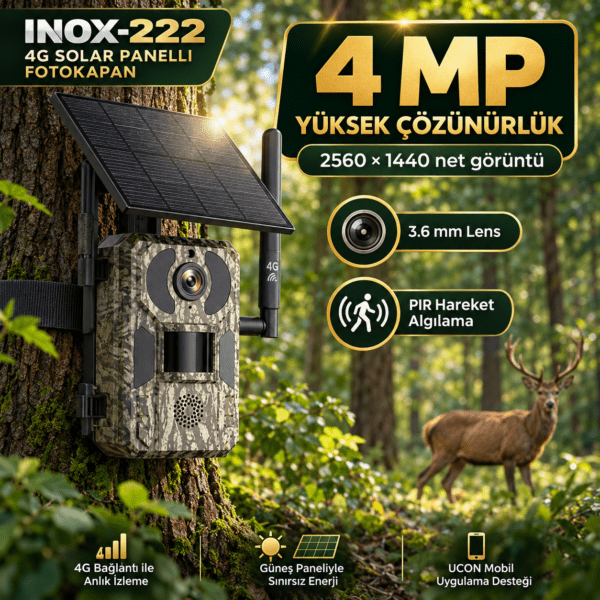 inox 222 (5)