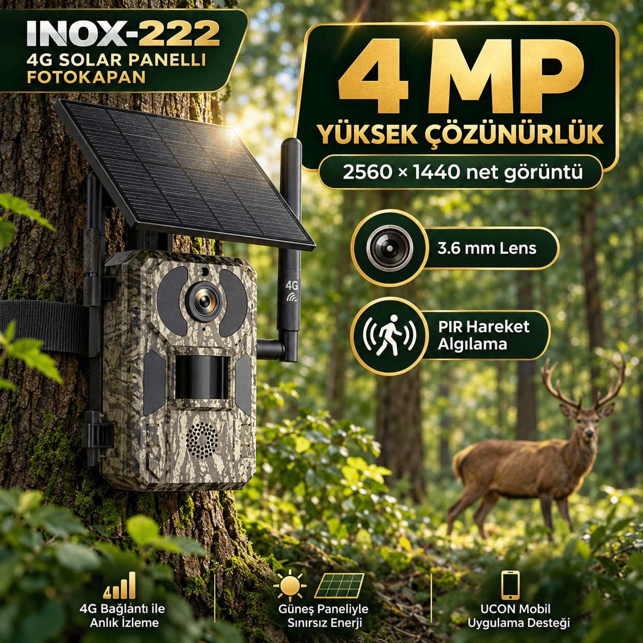 inox 222 (5)