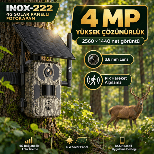 inox 222 (7)